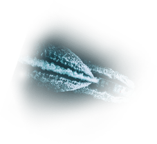 Boat Wave 2