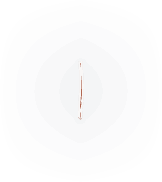 Pass-a-Grille Hover Area